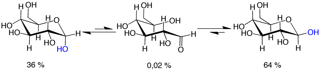 Mutarotation_D-Glucose_V.1