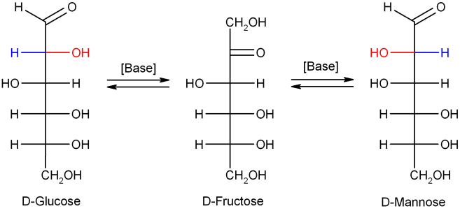 Glucose_Fructose_Mannose_Gleichgewicht